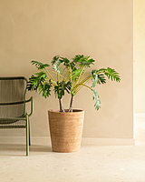 Saya Plant Pot Conic