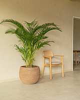 Saya Plant Pot Round