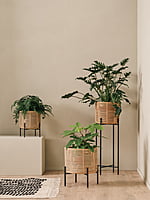 Vivi Plant Stand Small Vivi Plant Stand Small