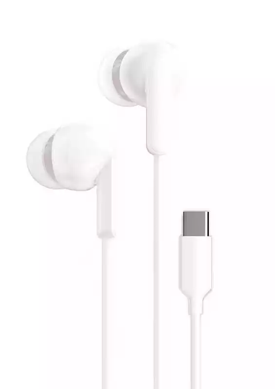 iGear Type C Wired Earbuds - W95T White