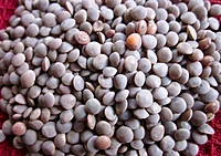 Whole Masoor Beans 1kg