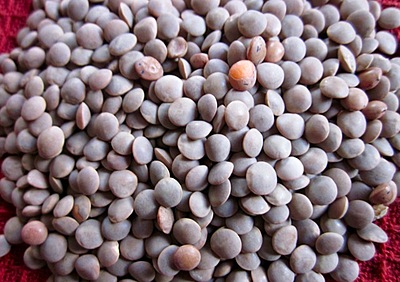 Whole Masoor Beans 1kg