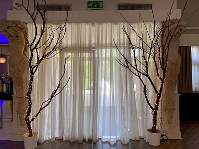 Willow Archway