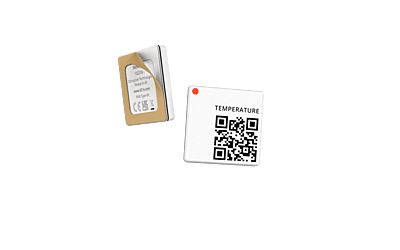 Capteur Wireless Temperature Sensor with Data Backfill (unité)