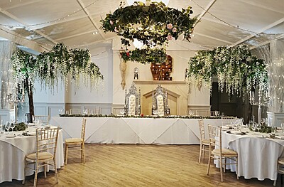 Wisteria Trees