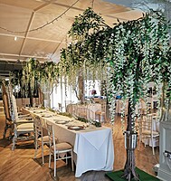 Wisteria Trees