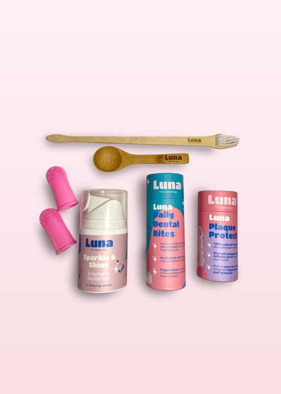 Luna Dental Health Box (Wholesale Item)