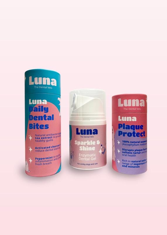 Luna Dental Health Box (Wholesale Item)