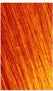 Mowan Megix|10 ARANCIO (COPPER)