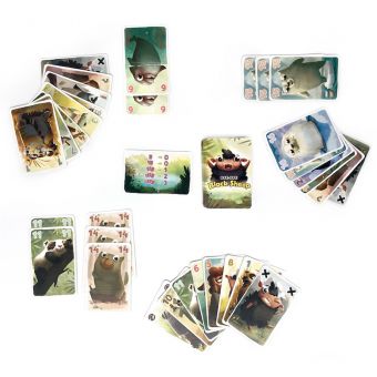 Bye Bye Black Sheep/Schwarzes Schaf Spielaufbau