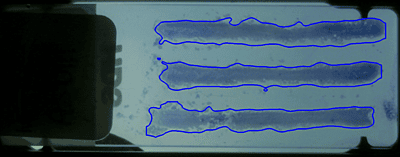 Raven - Whole Slide Imager