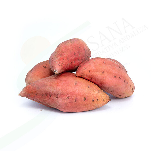 Boniato (500 gr)