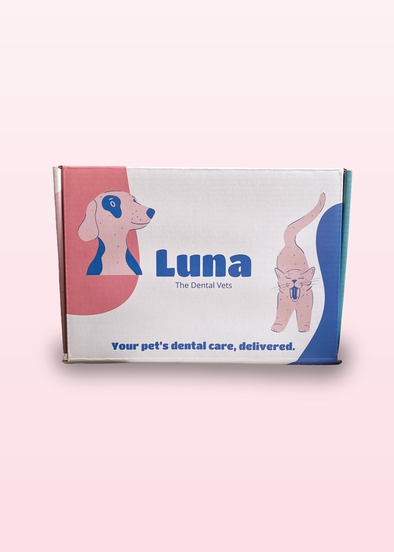 Luna Dental Health Box (Wholesale Item)