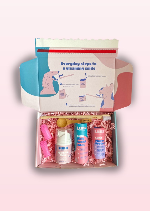 Luna Dental Health Box (Wholesale Item)