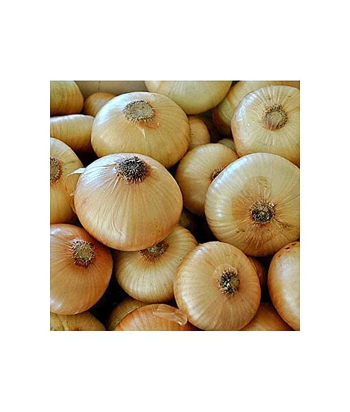 Cebola chata (kg)