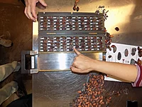 Bean cutter