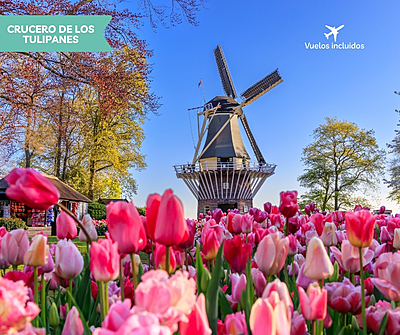 Rin romántico y Países Bajos - Crucero de los Tulipanes Rin romántico y Países Bajos - Crucero de los Tulipanes