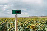 Vadalarm Smart Tripla