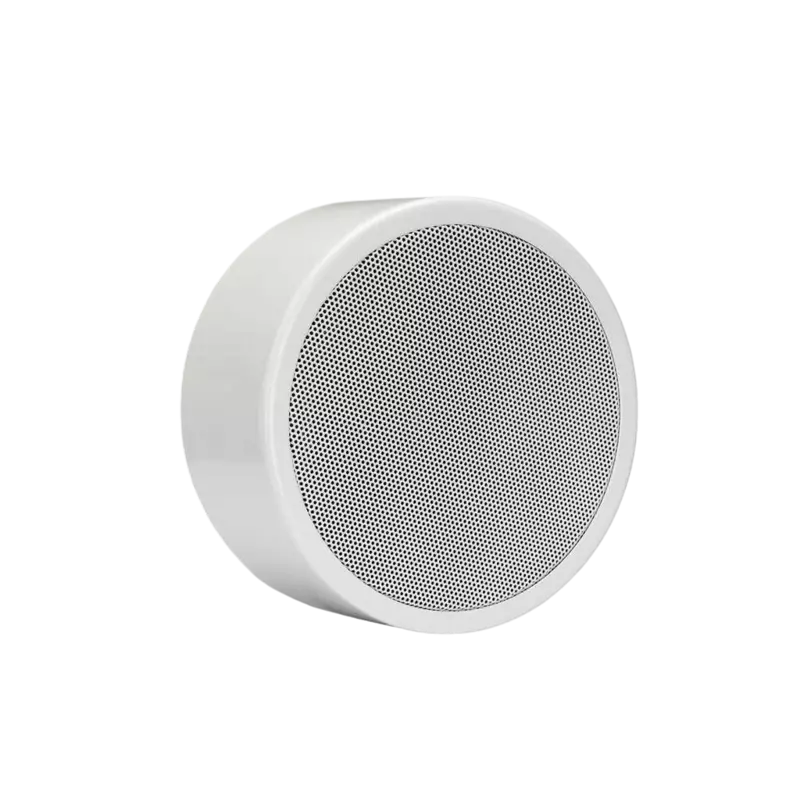 EN-SM6T10-W