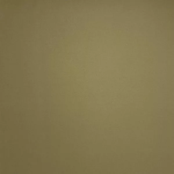 Brisbane Moss / Beige 06