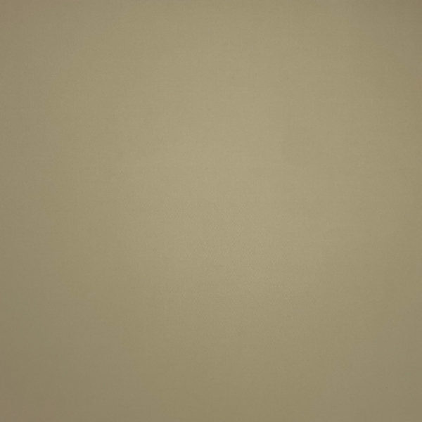 Brisbane Moss / Putty 03
