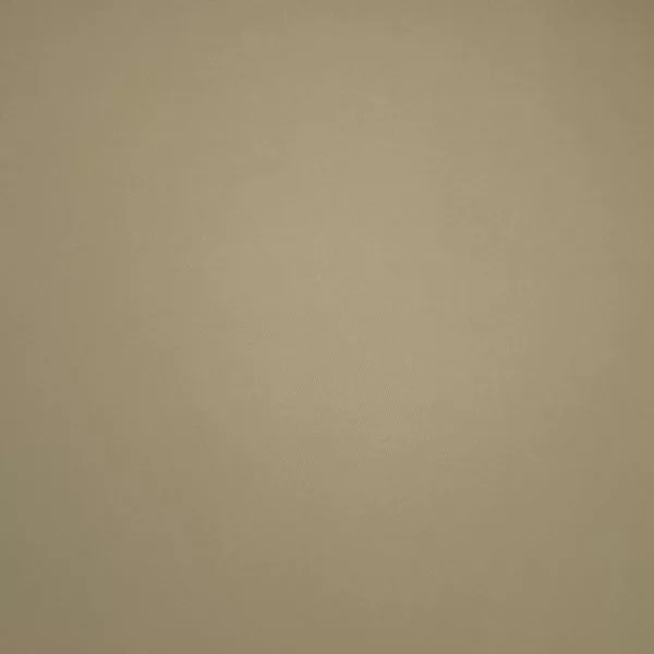 Brisbane Moss / Putty 03