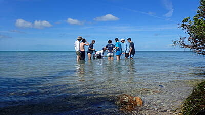 Florida Marine Conservation