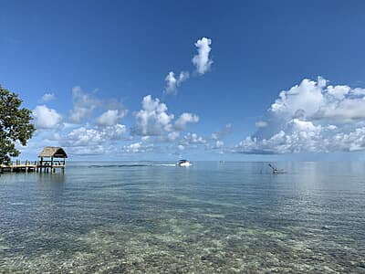 Florida Marine Conservation