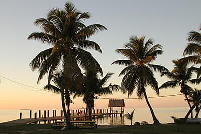 Florida Marine Conservation