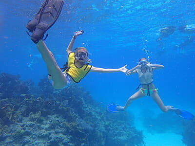 Florida Marine Conservation