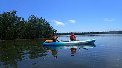Florida Marine Conservation