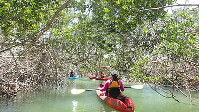 Florida Marine Conservation