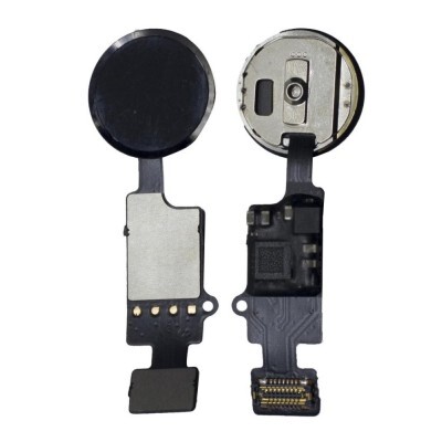 iPhone 7 , 8 Replacement Home Button - Gold , White