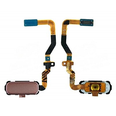 For Samsung Galaxy S7 - Replacement Home Button Flex - Gold