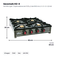 Medidas Savemah HG-4: 80 x 80 x 20 cm