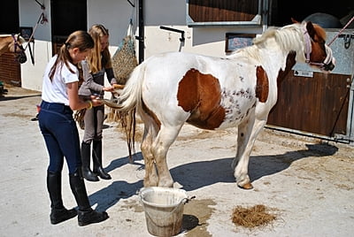 Adventure Camp in England Adventure Camp in England