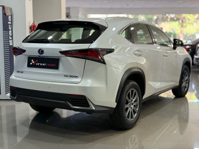 LEXUS NX300h LEXUS NX300h