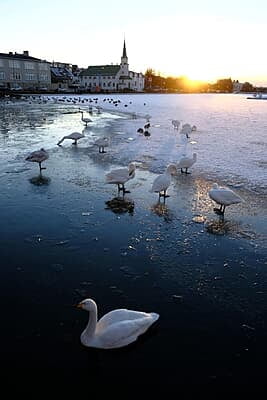 Iceland Northern Lights Winter Break Iceland Northern Lights Winter Break