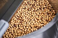 Industrial Roaster RED-60