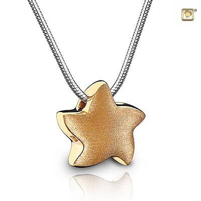 PHS 007 Assieraad hanger ster PHS 007 Assieraad hanger ster