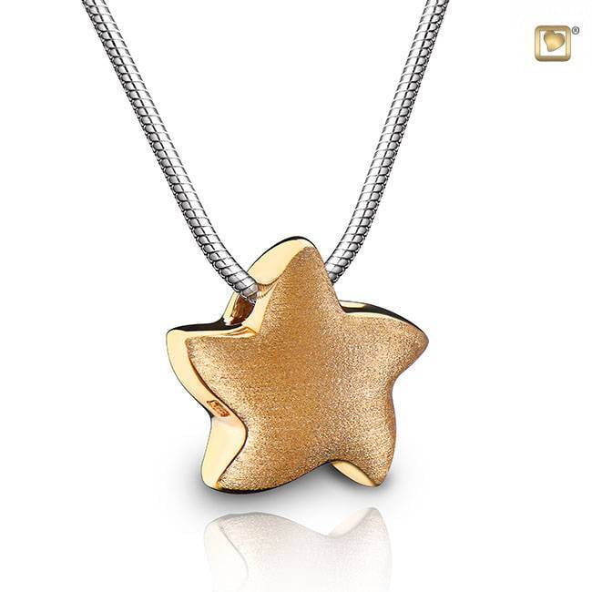 PHS 007 Assieraad hanger ster PHS 007 Assieraad hanger ster