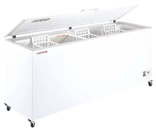 Arcones conservación de congelados gran capacidad UDD 600 BK