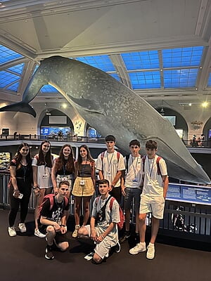 NYC Teen English Summer Camp