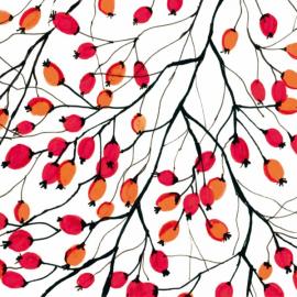 PPD - Aquarell Rosehip PPD - Aquarell Rosehip