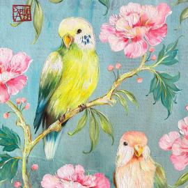 PPD - Perruches PPD - Perruches