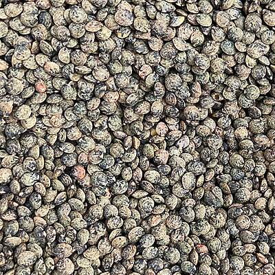 Lentilles vertes 500 g