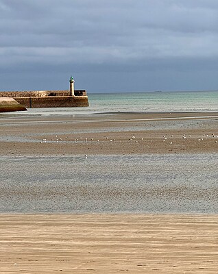 03/08 au 05/08/26 Camaret-Binic - Croisière L'Esprit des Mers
