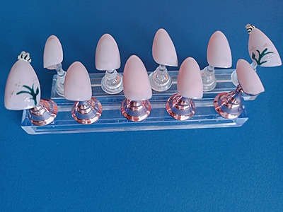 Light Baby Pink Springtime Floral with 3D Bees