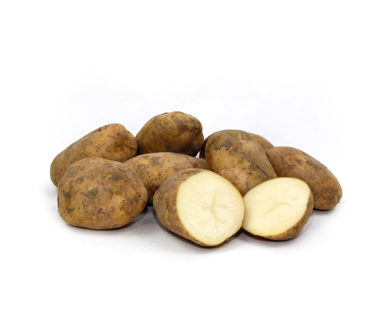 Patata variedad Kennebec (kg)