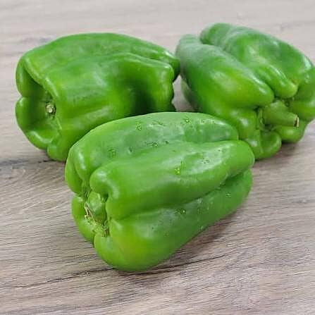 Pimiento morron verde (450-500 gr)